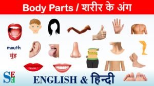 Body-parts-name-in-hindi